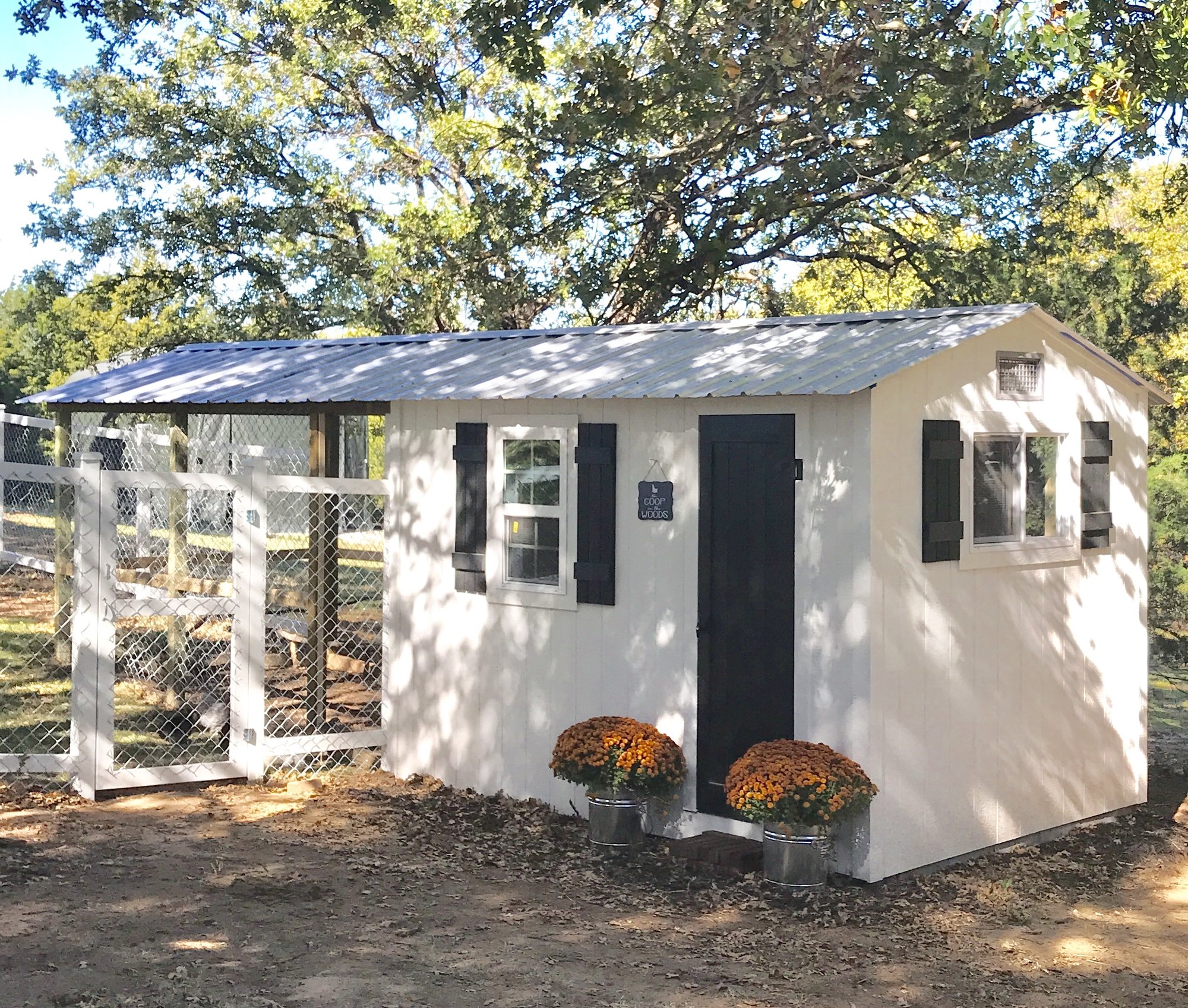 The Coop in the Woods BackYard Chickens Learn How to Raise Chickens
