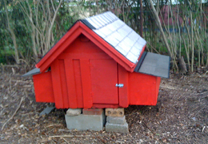 Chicken-Coop-04.jpg