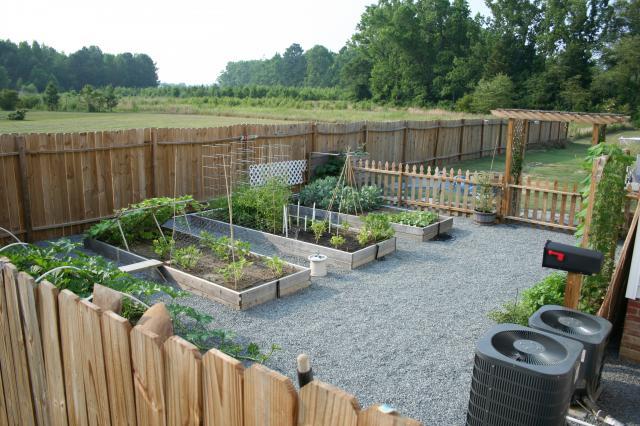 46193_veggie_garden_looking_over_fence_from_front_porch.jpg