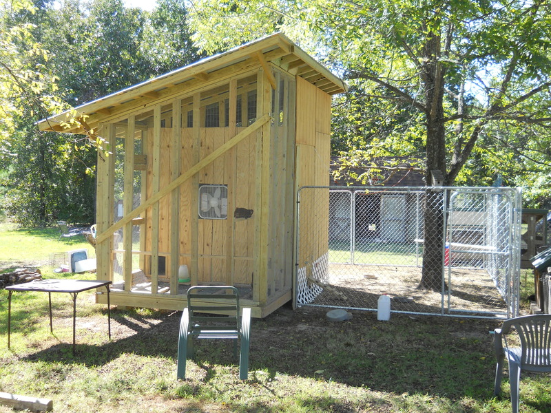 The layers get a new coop. BackYard Chickens Learn How to Raise