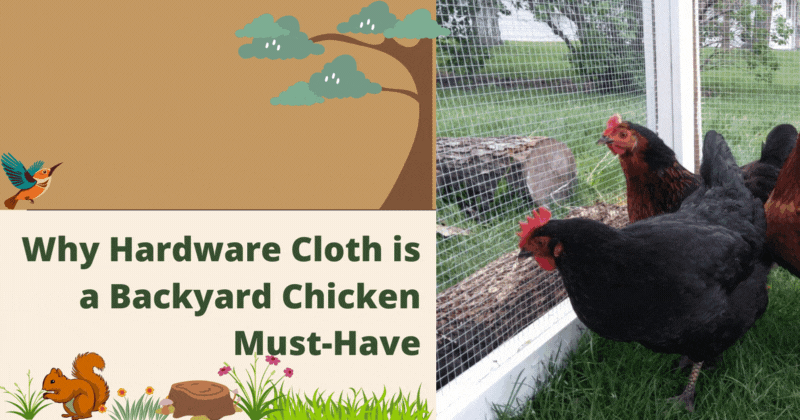 Slimming Down The Flock.gif