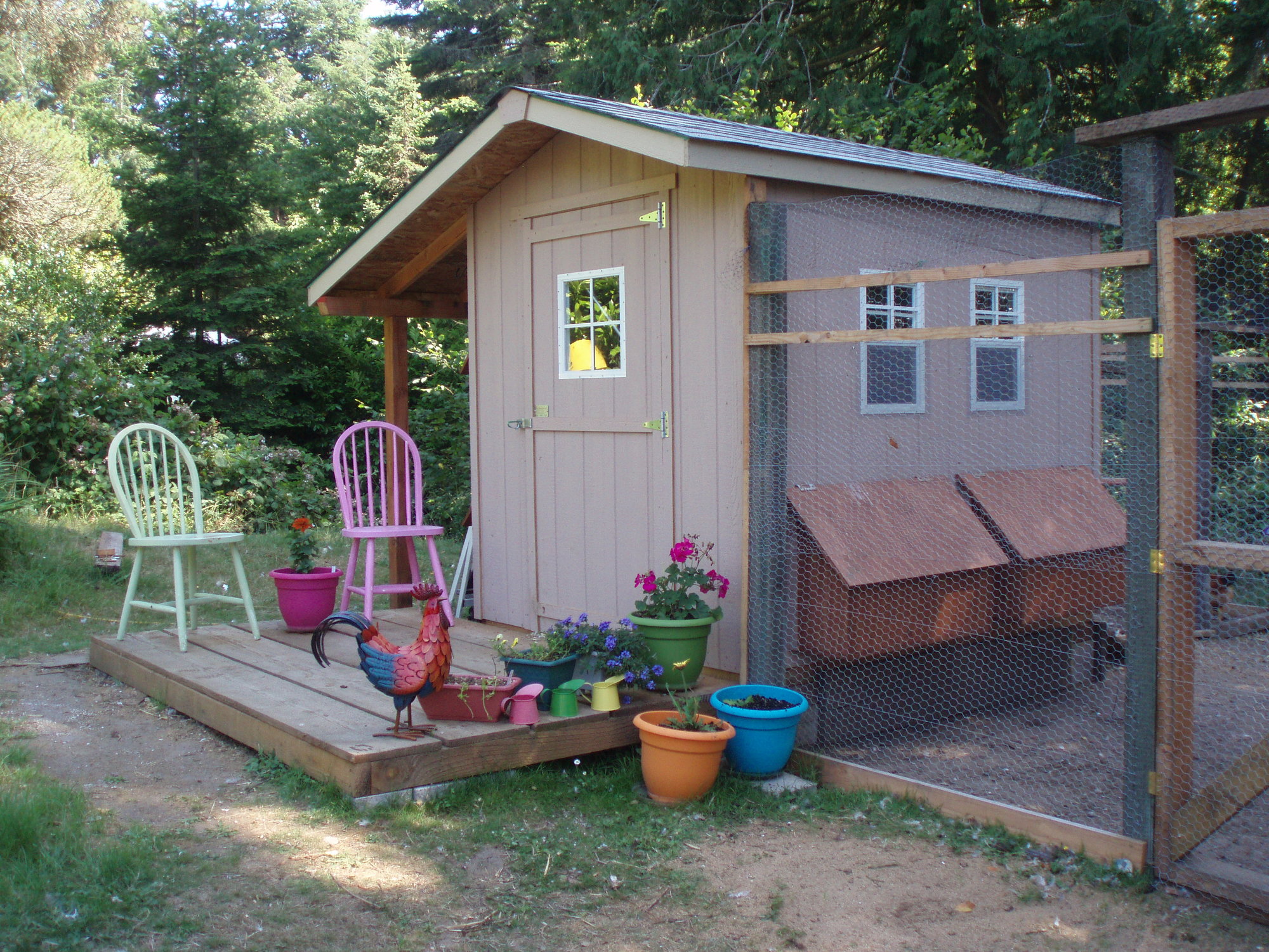 The Shed Guys Made to order Chicken Coop BackYard Chickens Learn How to Raise Chickens