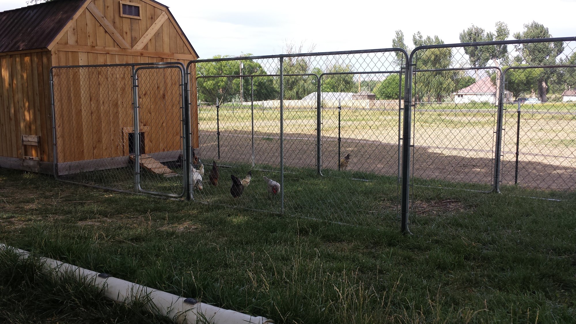 20140720_163744.jpg
