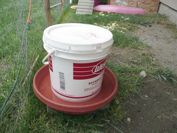 Tylermckees Homemade Chicken Feeder And Water Fountain Backyard