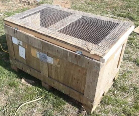 Crate Brooder back.jpg