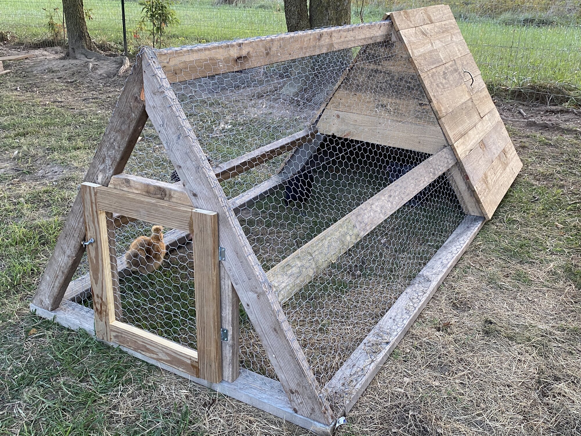 Wooden Pallet Mini Coop - Cover Image