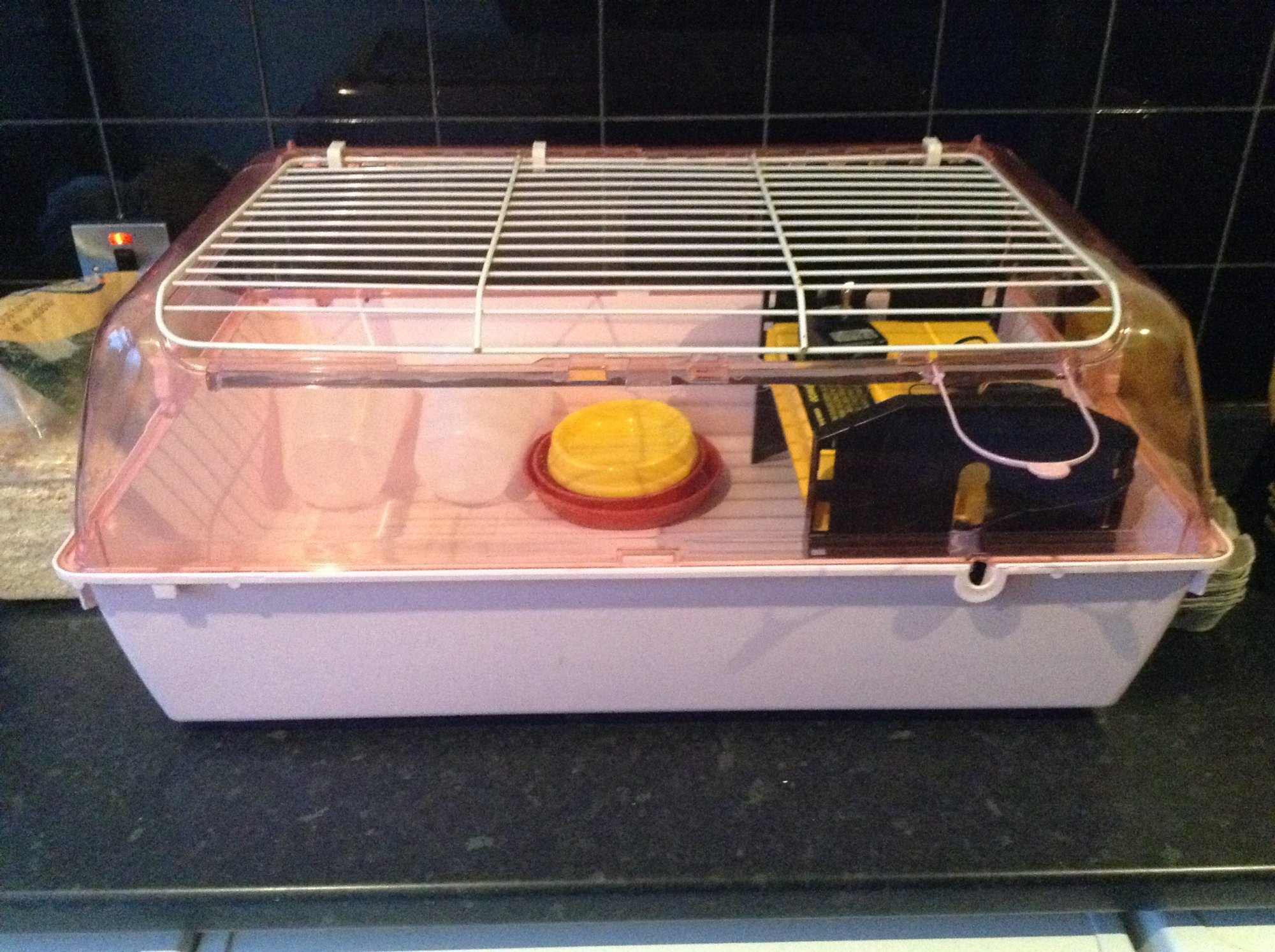 Yorkshire coops guinea cage brooder BackYard Chickens Learn How to
