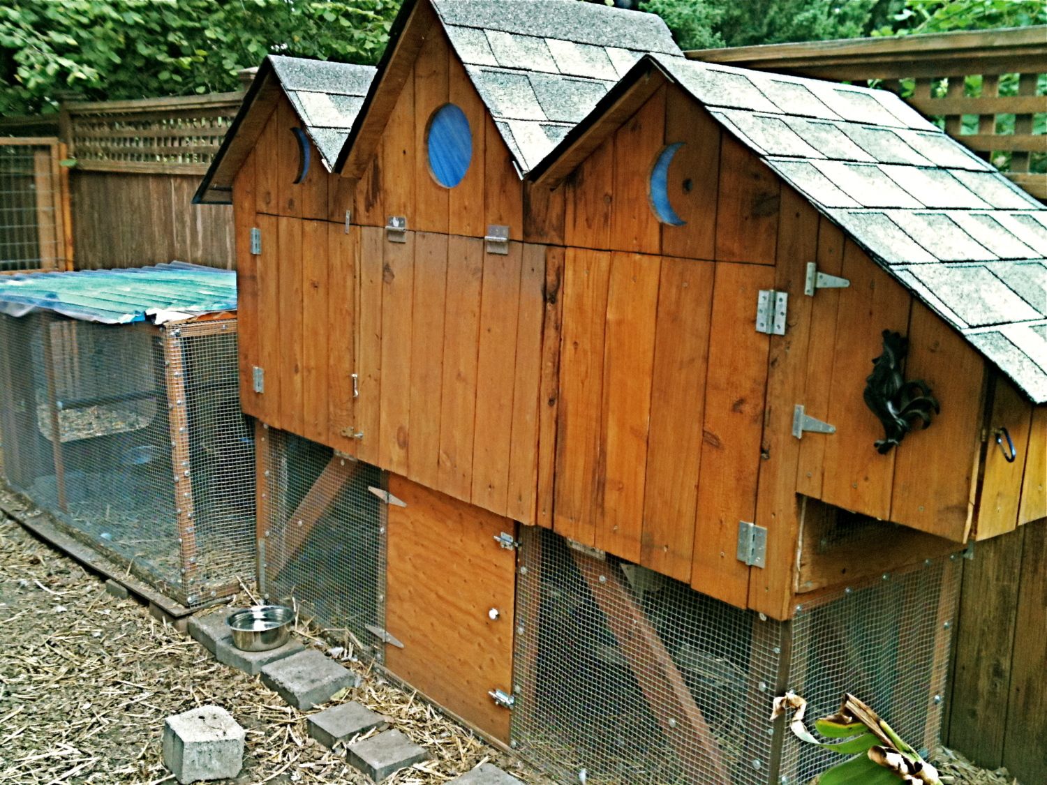 Raccoon proof coop (post pics plz) | BackYard Chickens