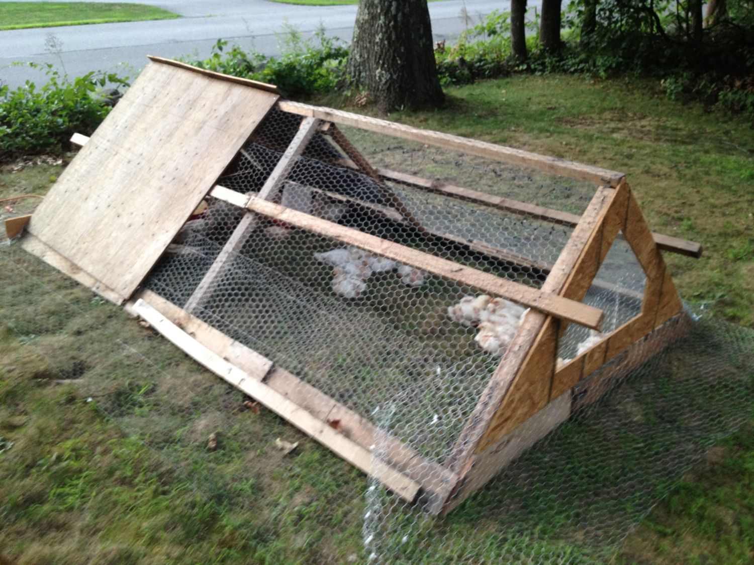 Turkey and Chicken Coops The good the bad and the ugly 