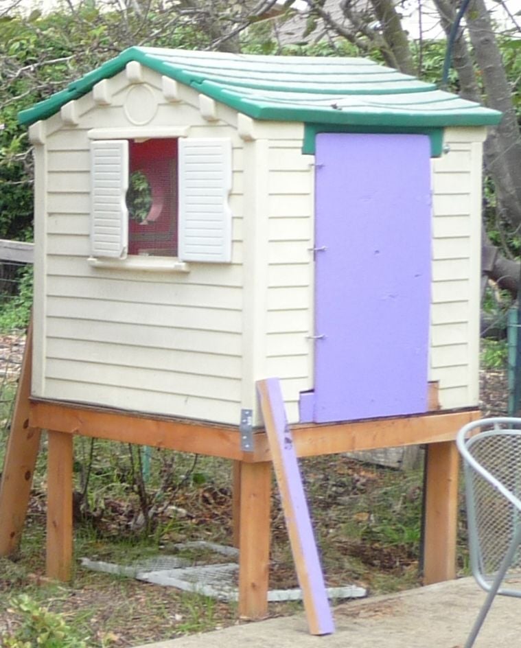 Converting Playhouse Into A Coop Backyard Chickens