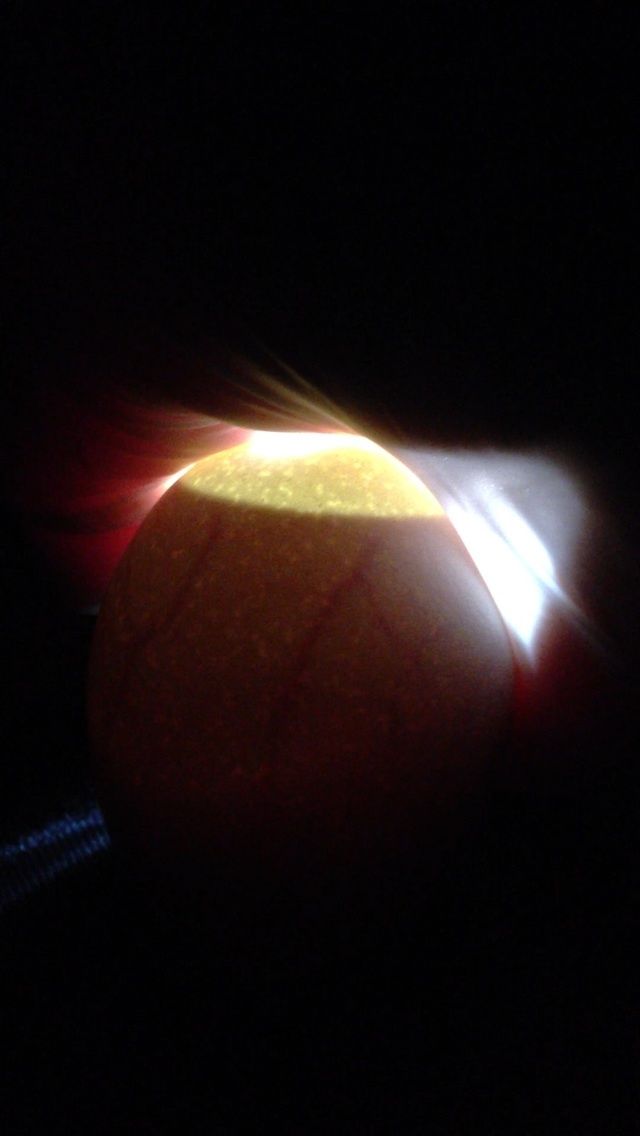 400