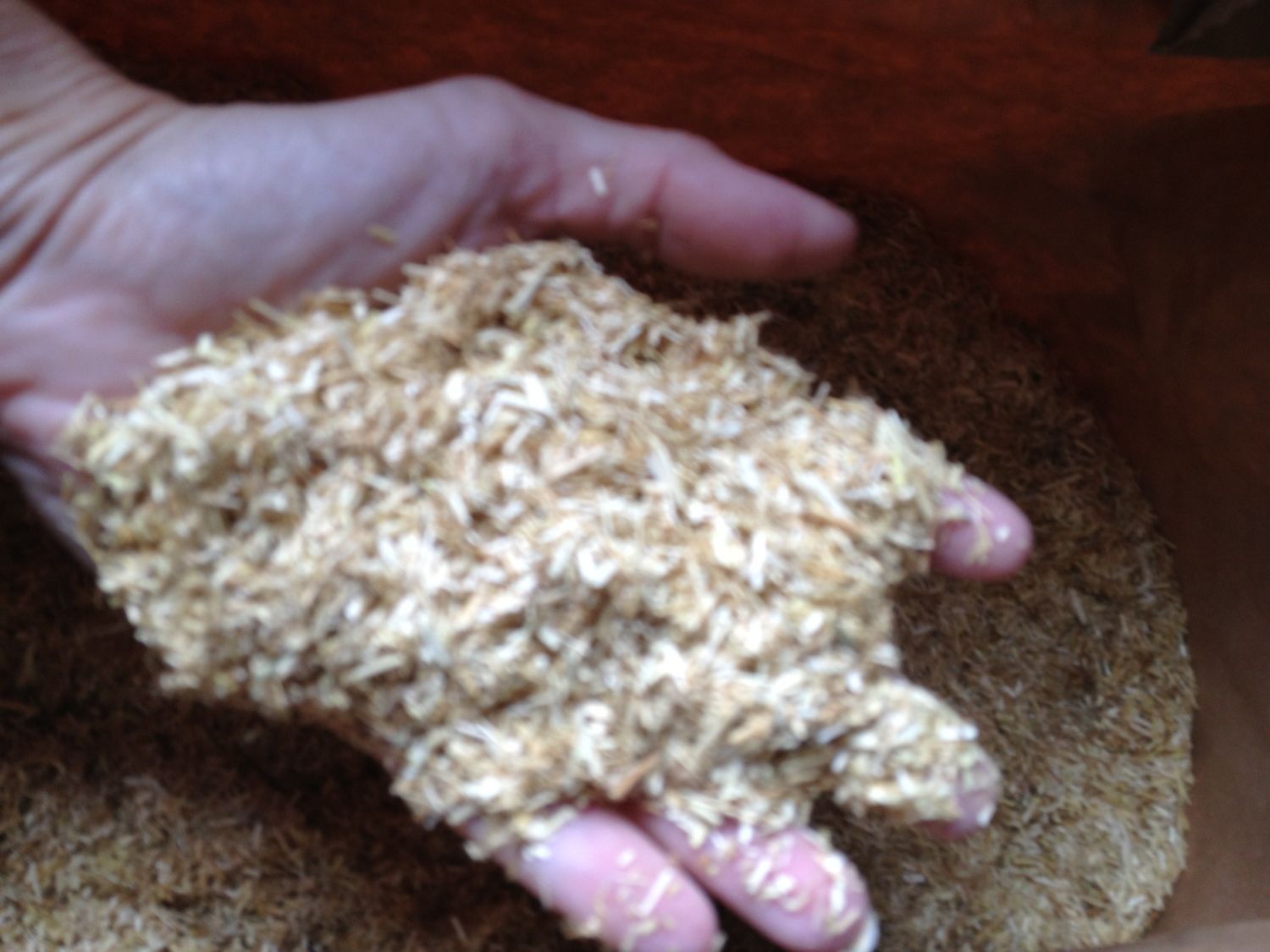 A tale of the Flax bedding BackYard Chickens Learn How to Raise