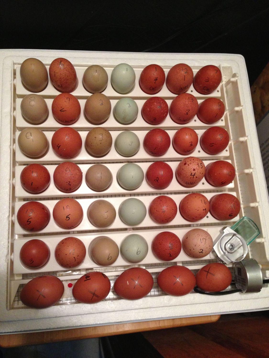 400