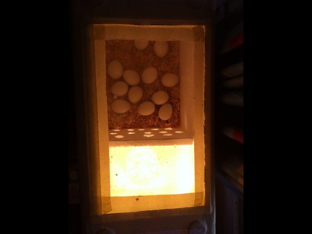 700