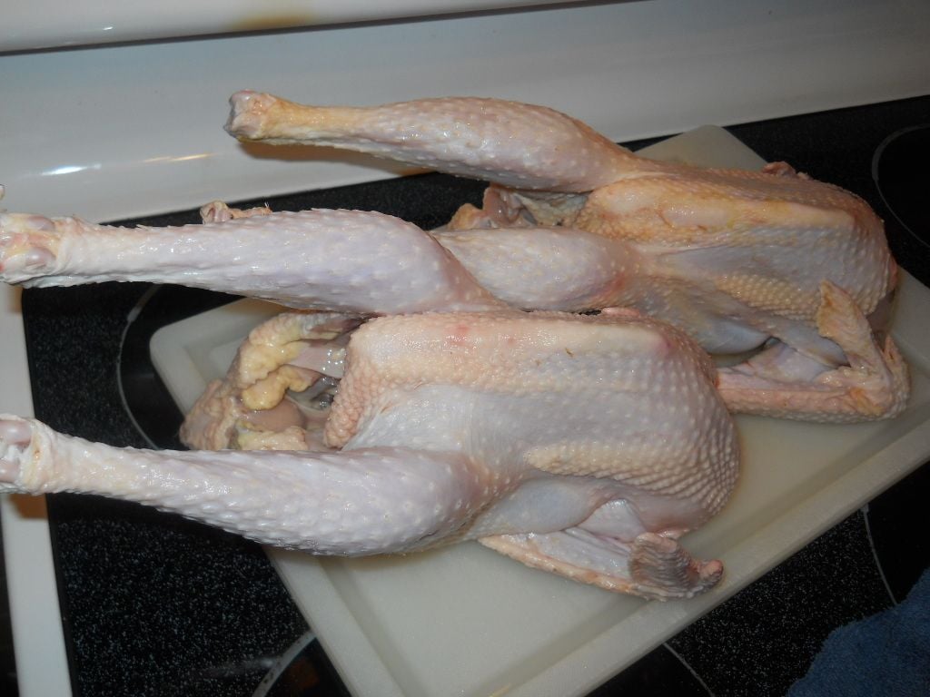 Rooster Roasting  BackYard Chickens - Learn How to Raise Chickens