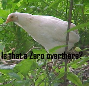 700