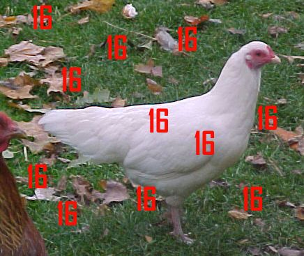 700