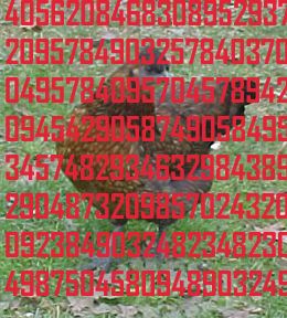 700