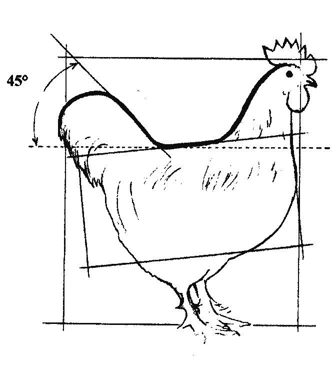 400