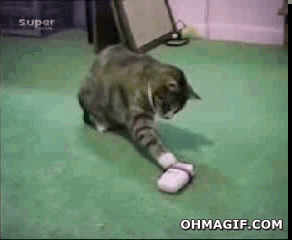700
