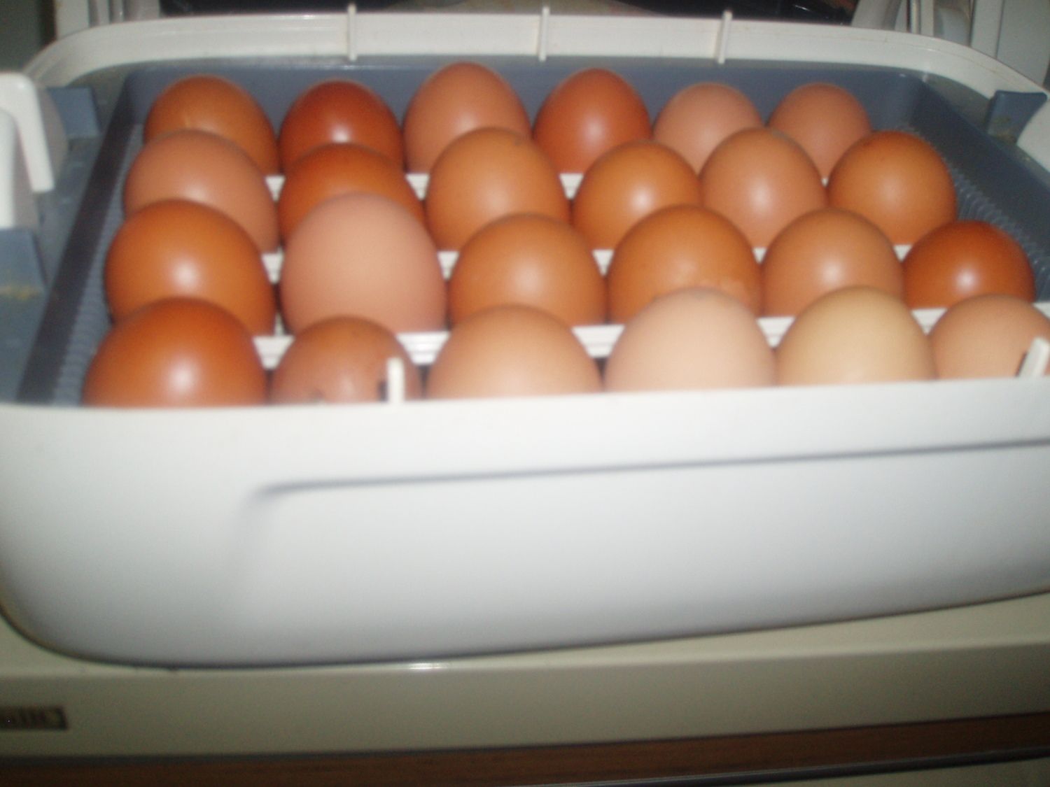 400