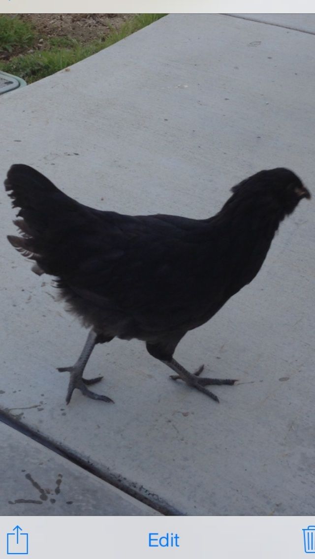 700