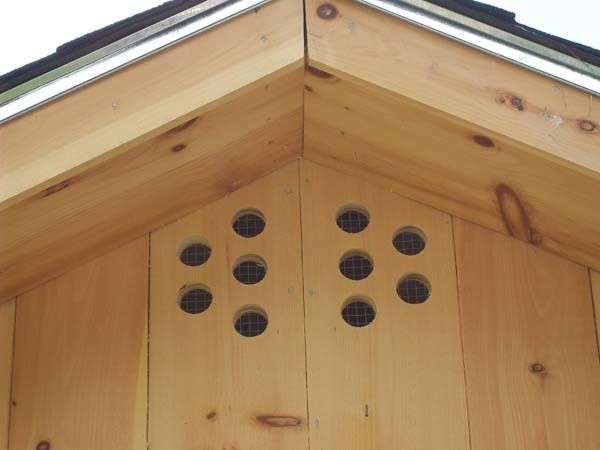 Chicken Coop Ventilation - Go Out There And Cut More Holes ...