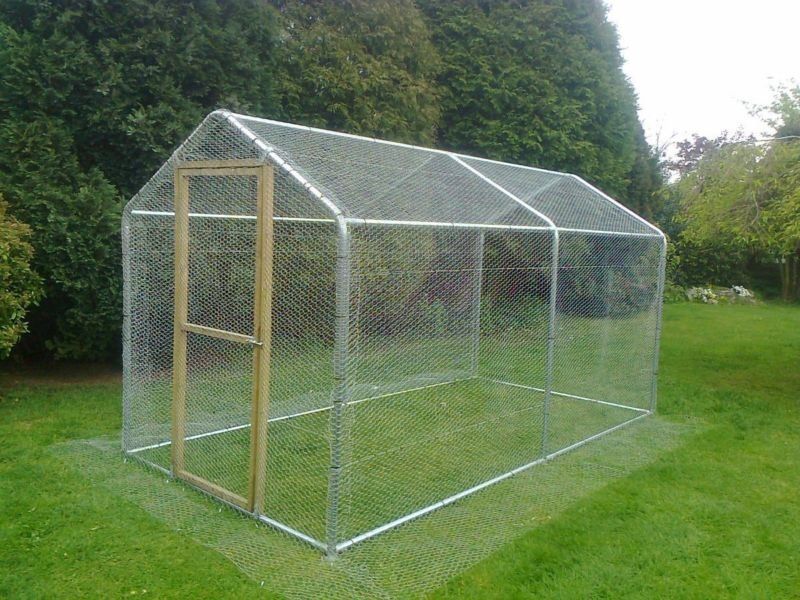 Please help me with converting greenhouse to chicken run BackYard