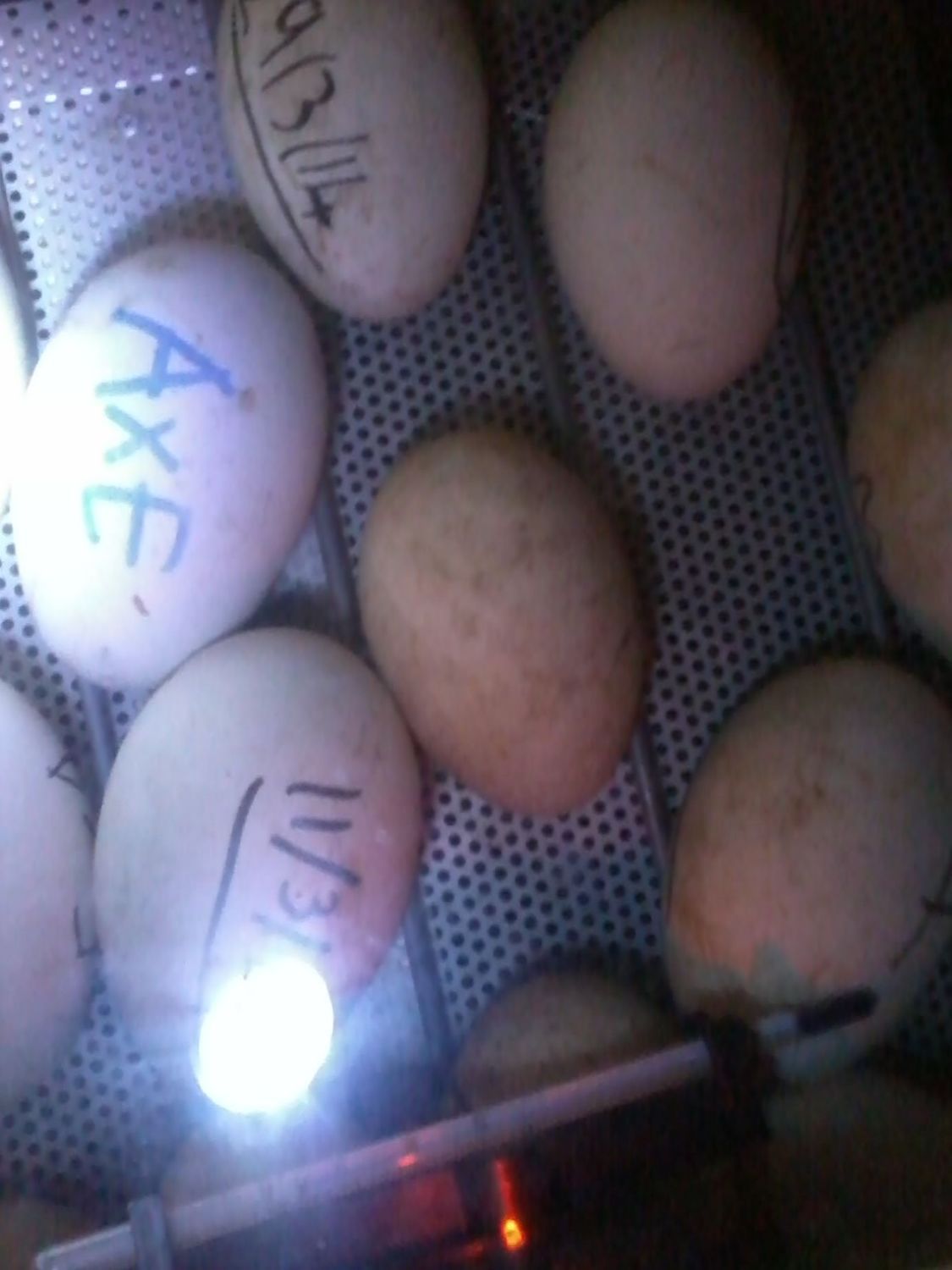 400