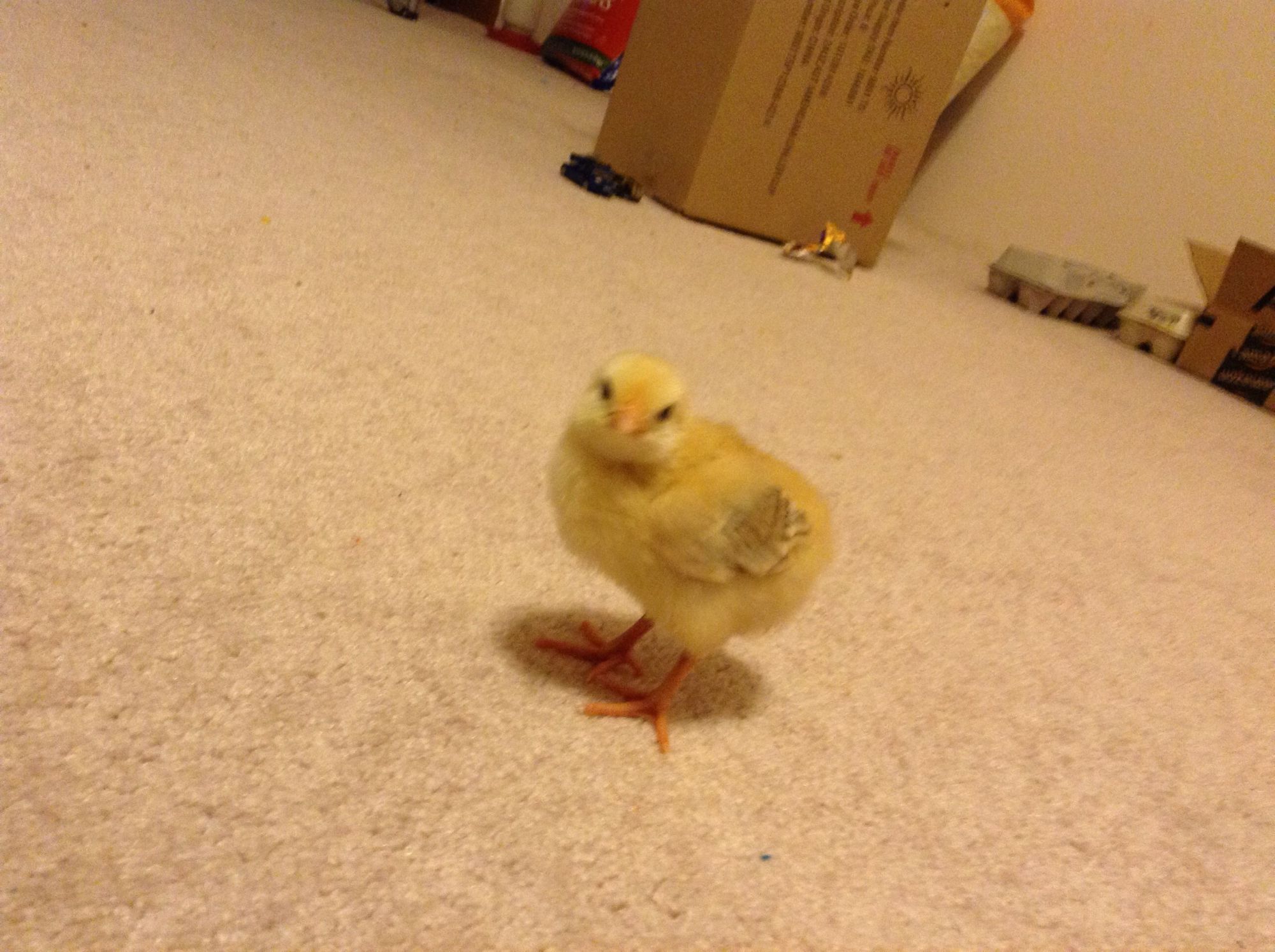 700
