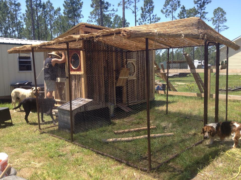 Bamboo Chicken House - North Florida BackYard Chickens 