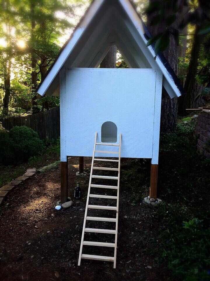 Thai style chicken coop BackYard Chickens