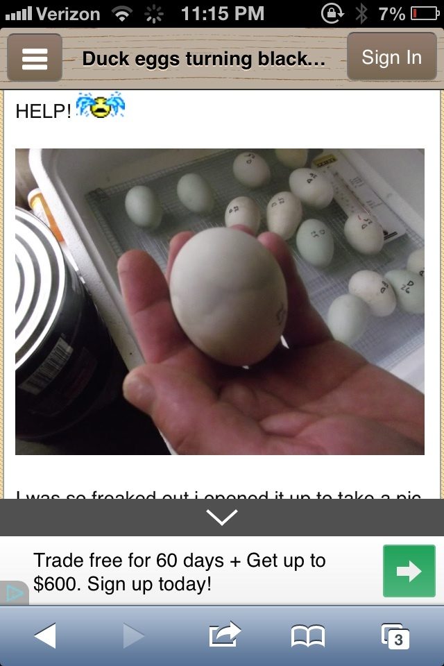 400