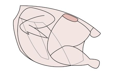 400