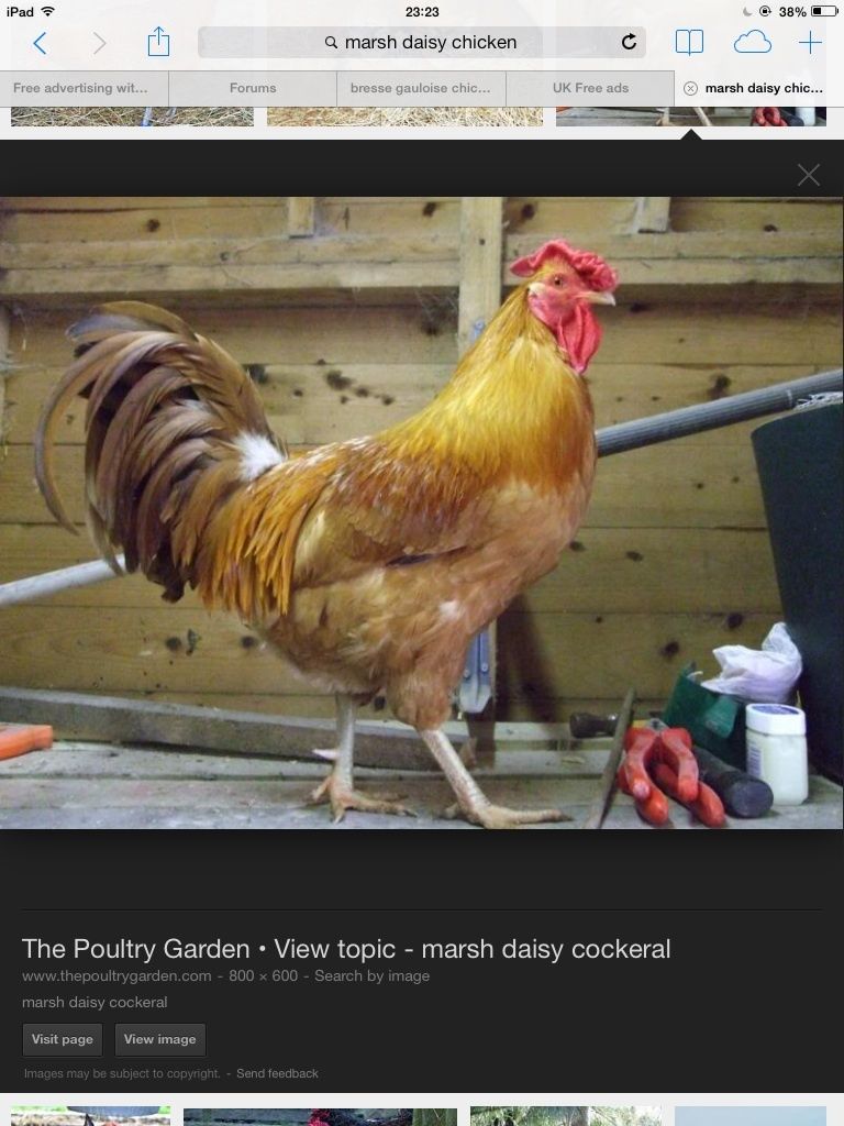 700