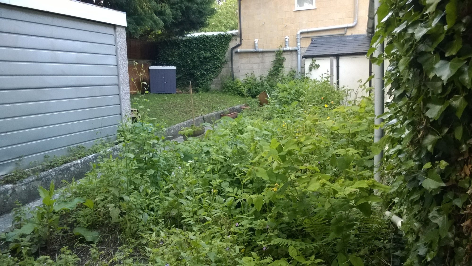 700