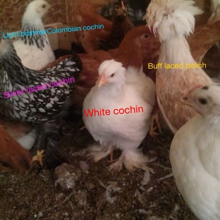 700