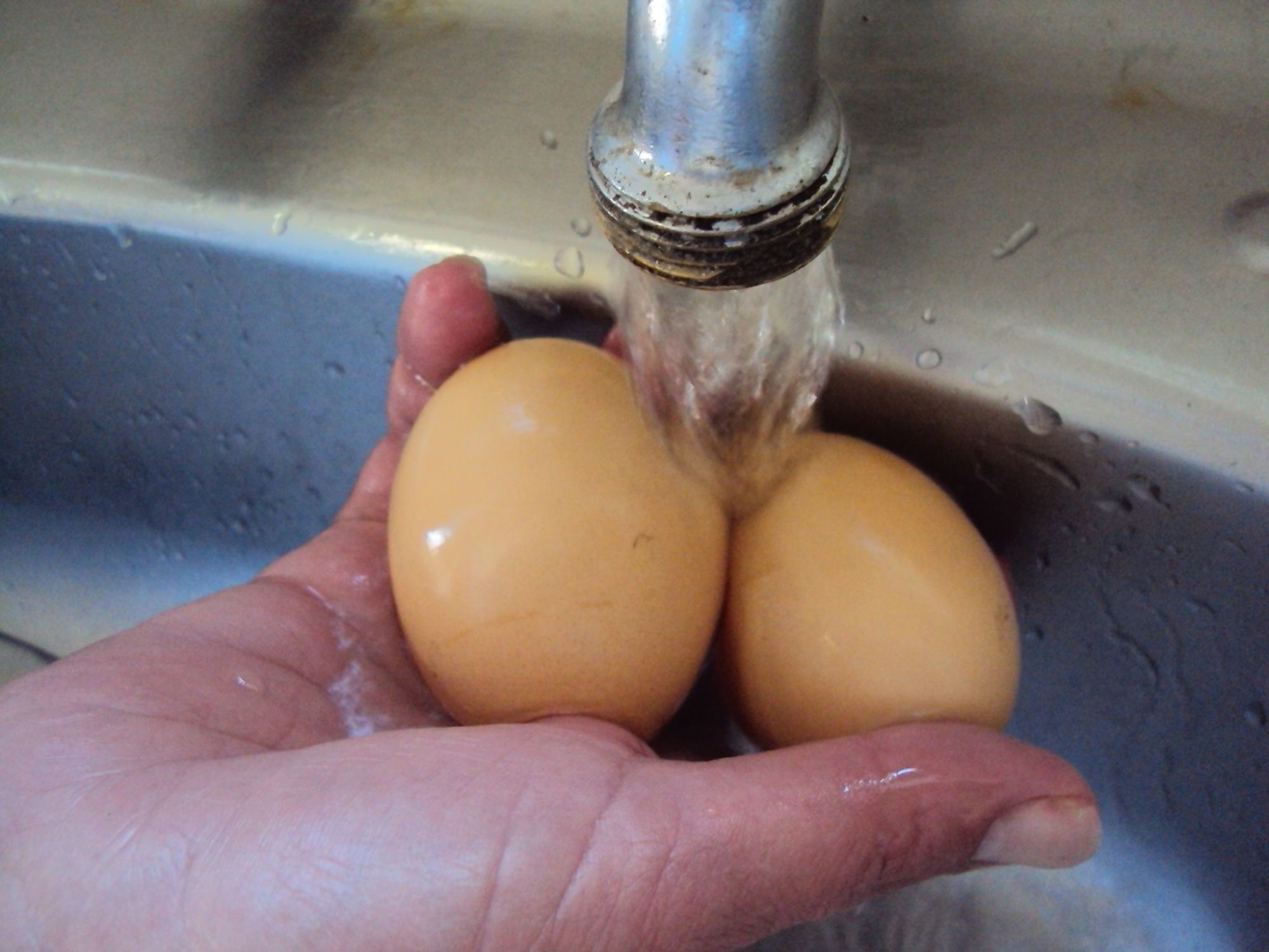 Cleaning and storing fresh eggs, Page 3
