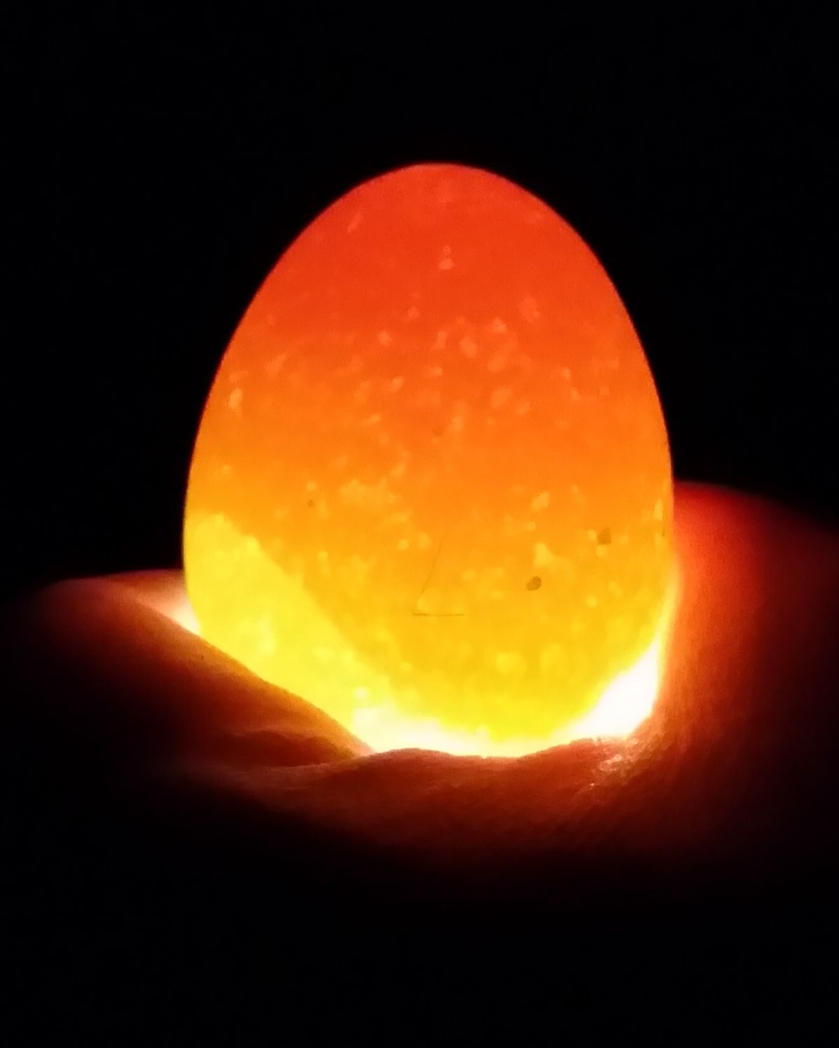 LL