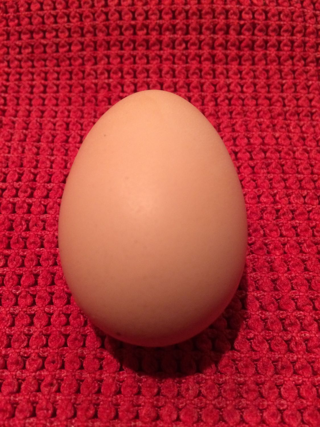 400