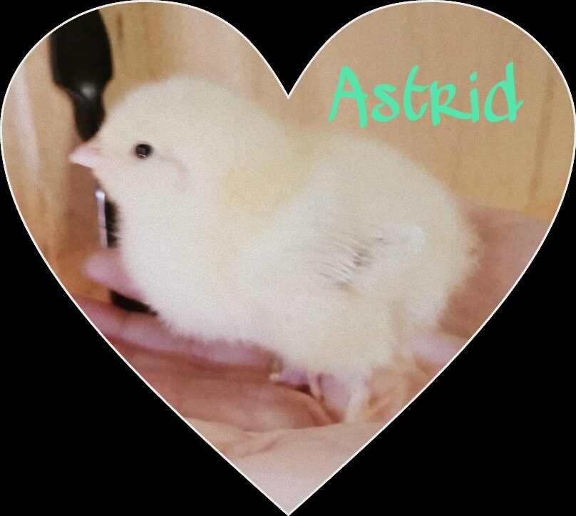 400