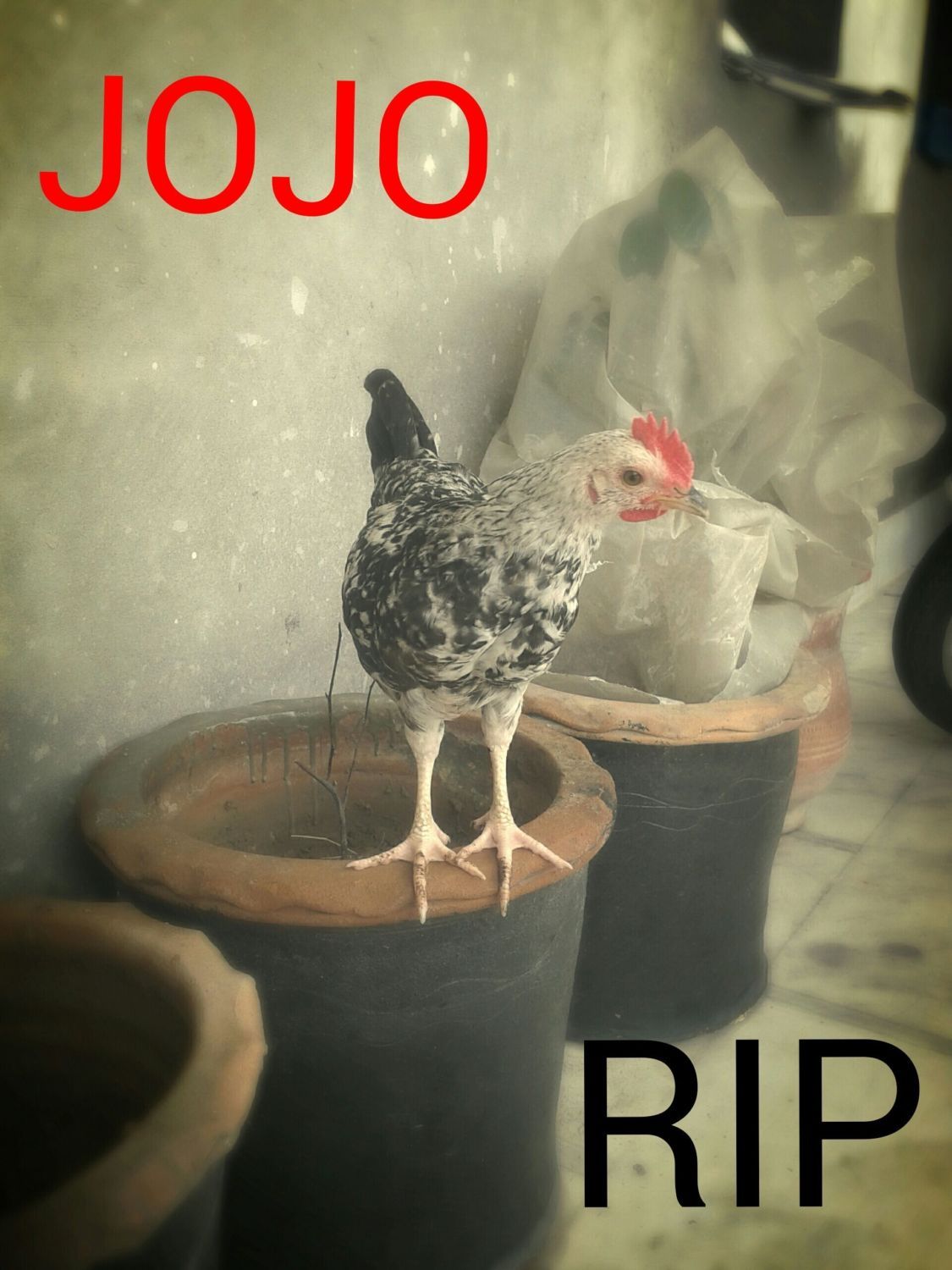 400