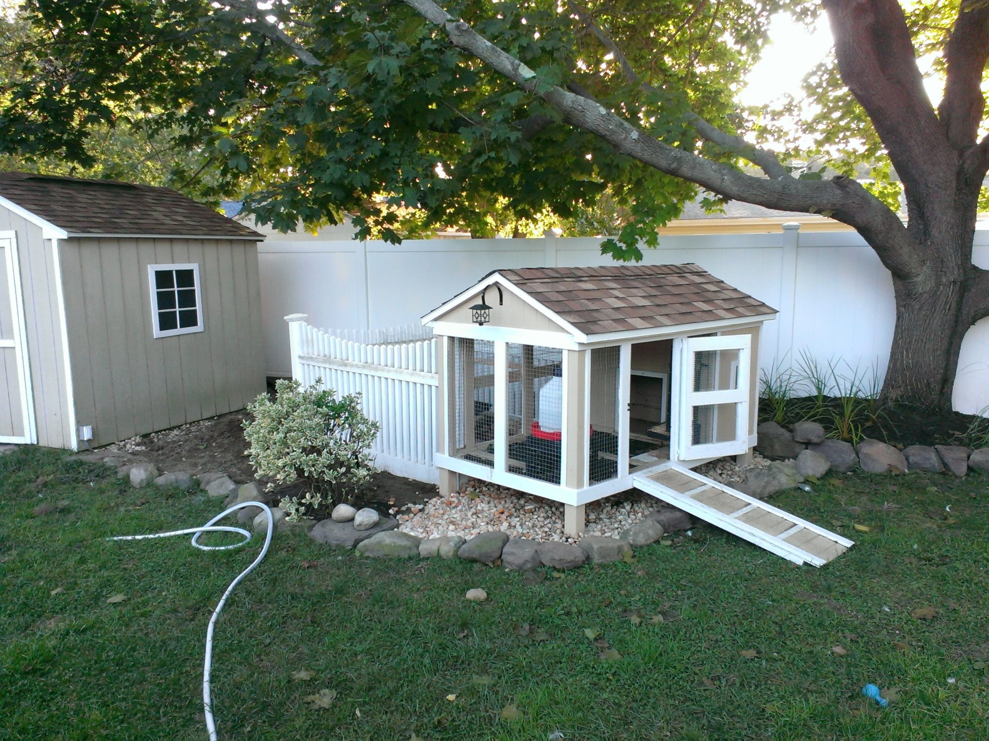 Show me your duck coops! Update: also looking for duckling brooders
