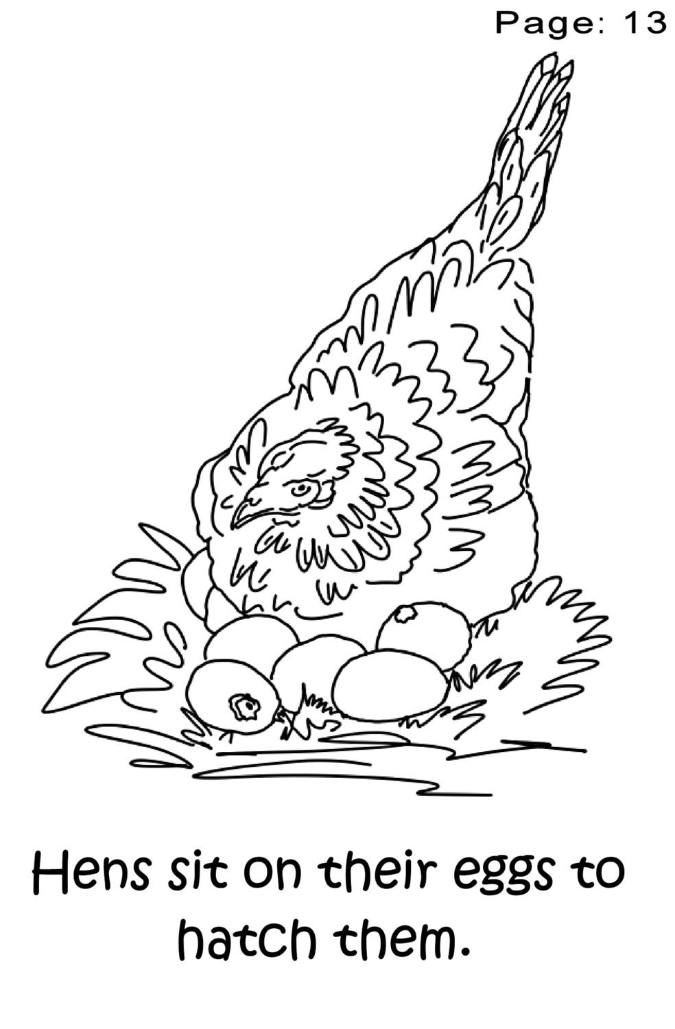 Download Chicken Coloring Book For Preschoolers | BackYard Chickens - Learn How to Raise Chickens