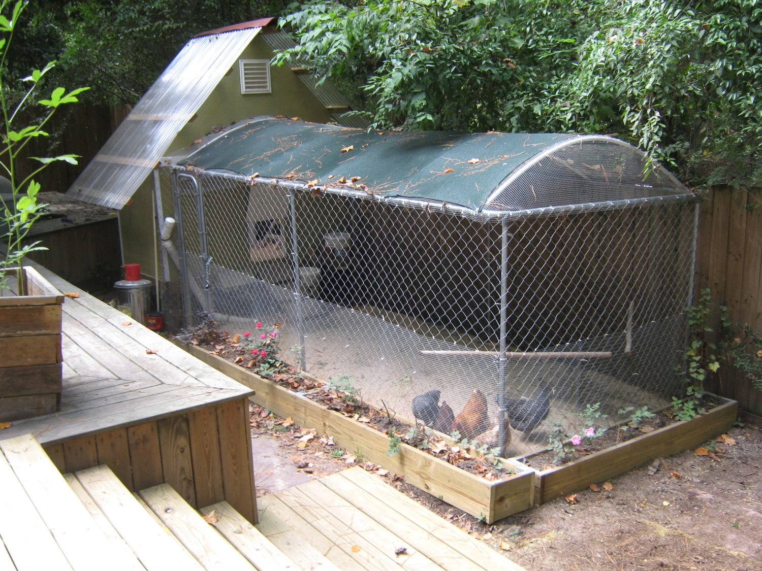 Dog Kennel Vs Coop With Run Page 2 Backyard Chickens Learn How To Raise Chickens