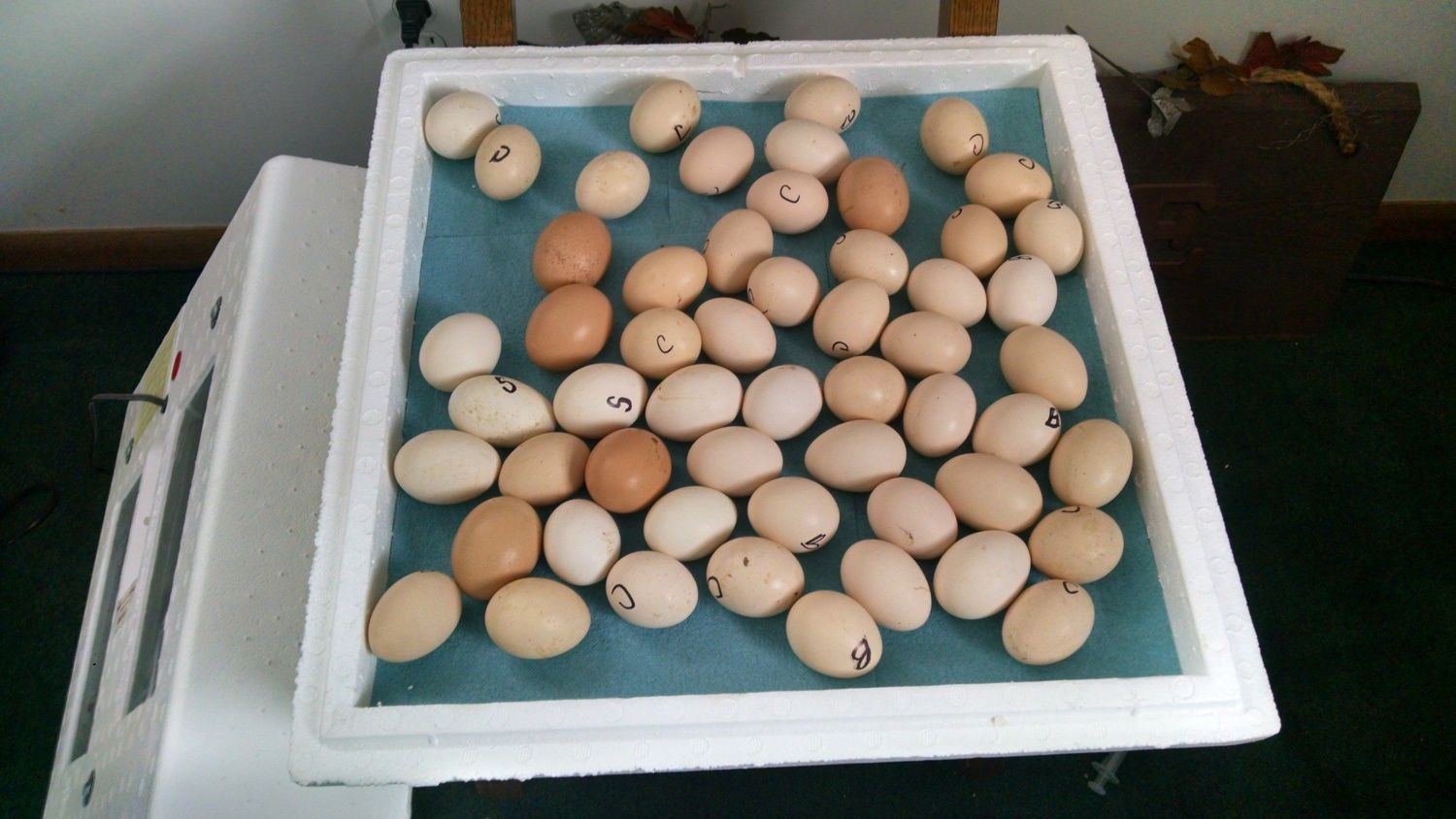 400