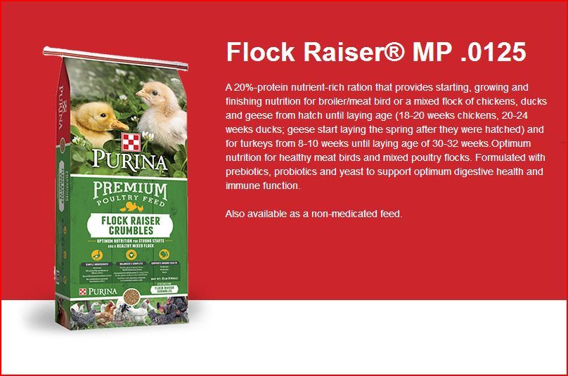 Amprolium medicated feed? BackYard Chickens Learn How to Raise Chickens