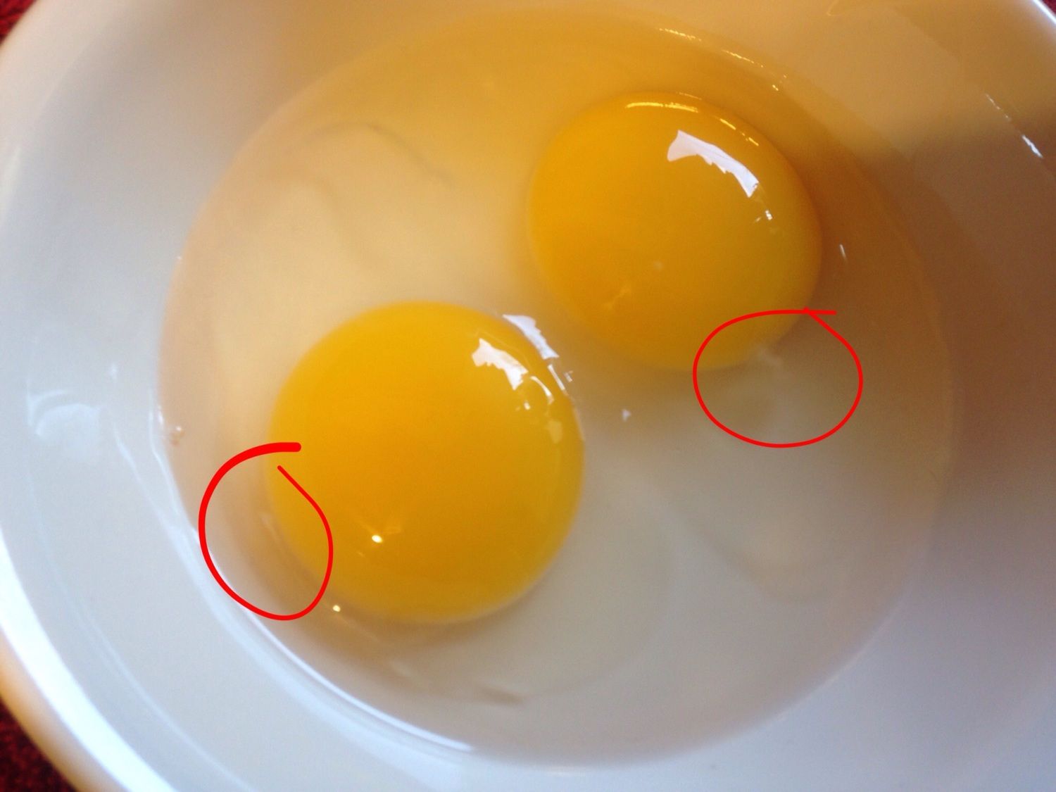 What does a fertilized, cracked-open duck egg look like? | BackYard