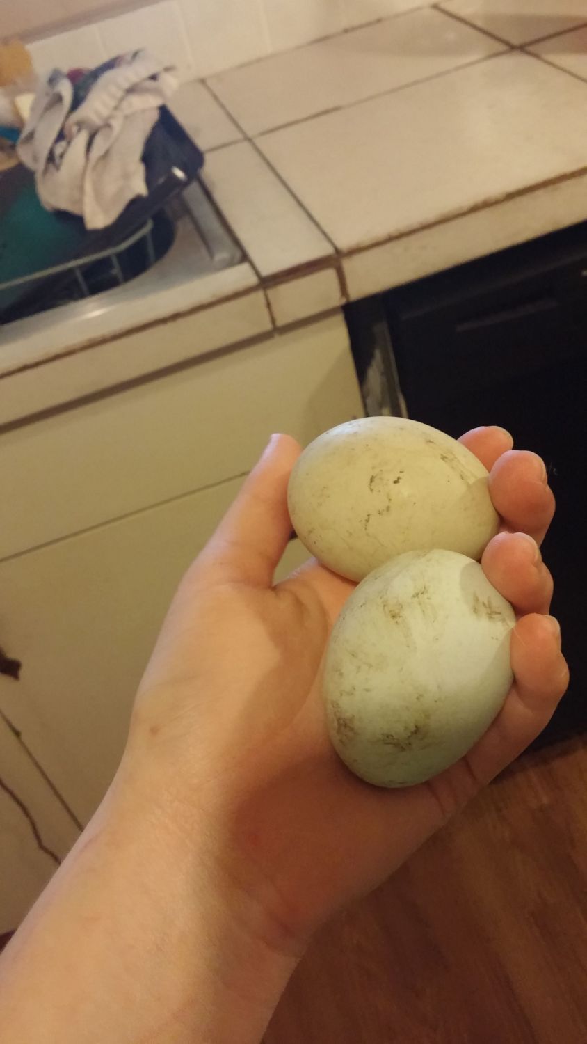 700