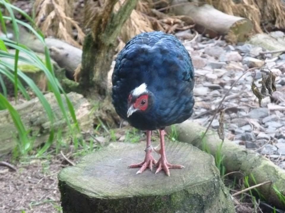 700
